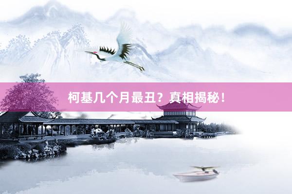 柯基几个月最丑？真相揭秘！